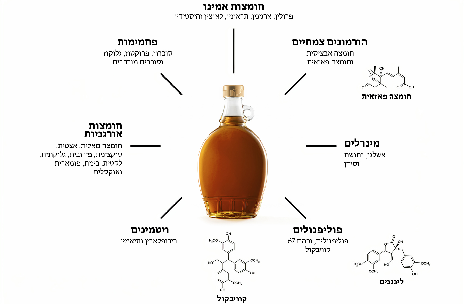 ההרכב התזונתי של סירופ מייפל